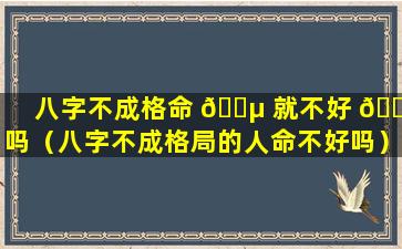 八字不成格命 🐵 就不好 🕊 吗（八字不成格局的人命不好吗）